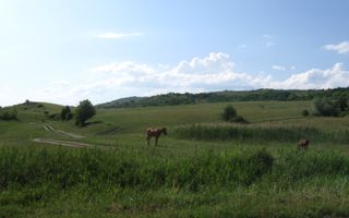 Teren extravilan de vânzare | Apoldu de Jos | 26.258 mp - Poză 8
