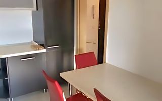 Apartament 1 cameră, zona Aradului – bloc 2011, terasă 13 mp - Poză 2