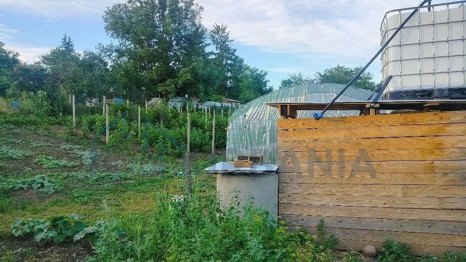 Teren intravilan de 1550 mp în localitatea Buznea, strada Corneliu Coposu - Poză 1