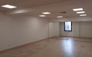 Spatiu Birouri// ***124mp utili*** // zona Herastrau- Aviatiei - Poză 3