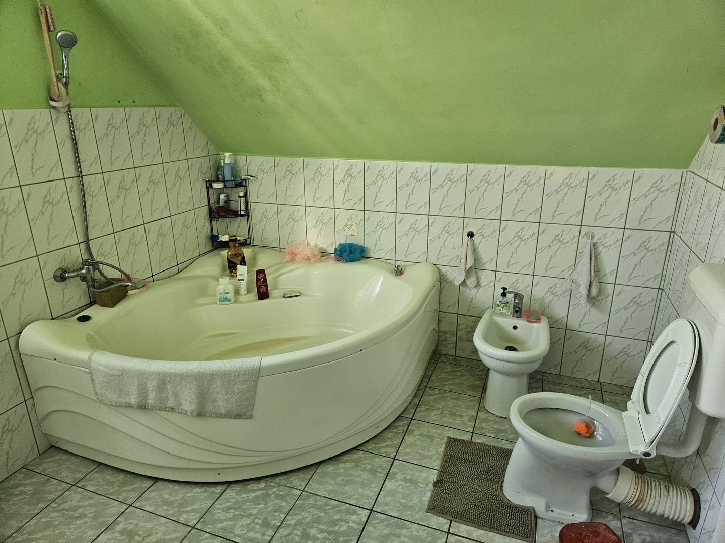 Casă 2 familii / firmă + livadă Satu Mare - Cionchești - Poză 3