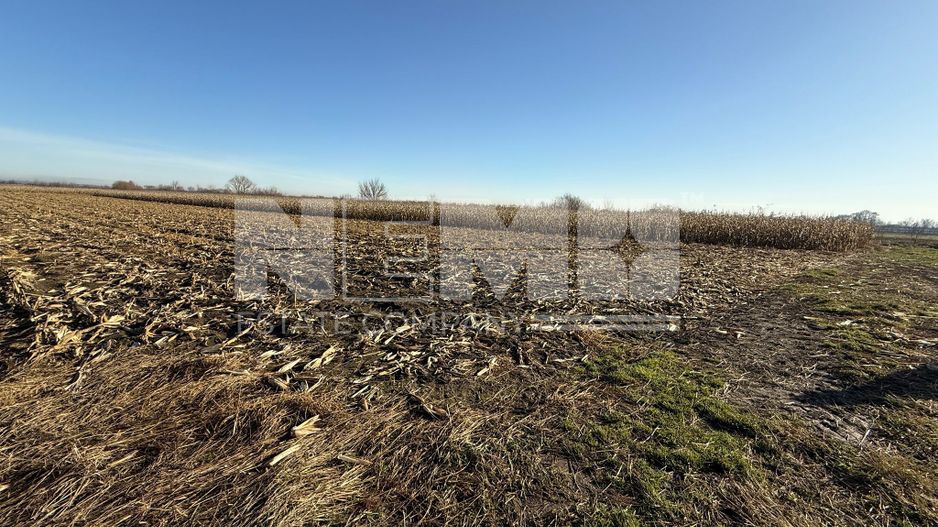 TEREN EXTRAVILAN  51 ARI |  HORODNIC DE JOS  | - Poză 3