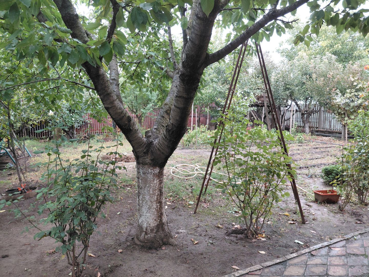 Casă Spațioasă P+1+M, 265 mp Utili, 1000 mp Teren – Toate Utilitățile, Vânători - Poză 38