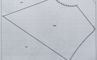 Parcele teren intravilan, Gepiu, Bihor, intre 533 - 861 mp - vanzare - Poză 6
