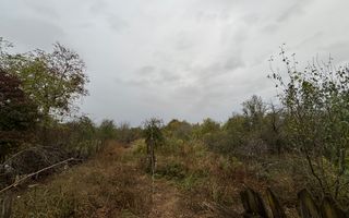 Casă + Teren 1.245 mp aproape de București (Ologeni, Prahova) - Poză 8