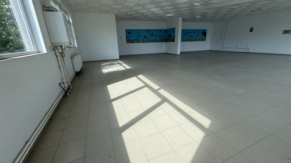 Hala productie P+1 si apartament de serviciu Navodari - c-tie beton - Poză 9