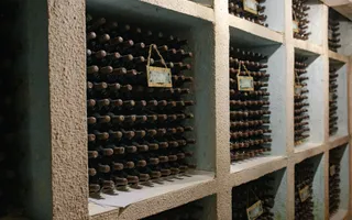 Complex Vitivinicol de Referință în Sudul Moldovei | 206 ha teren agricol | Investiție strategică - Poză 18