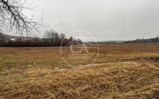 Teren intravilan de vanzare in Beiuș, Bihor - Poză 1