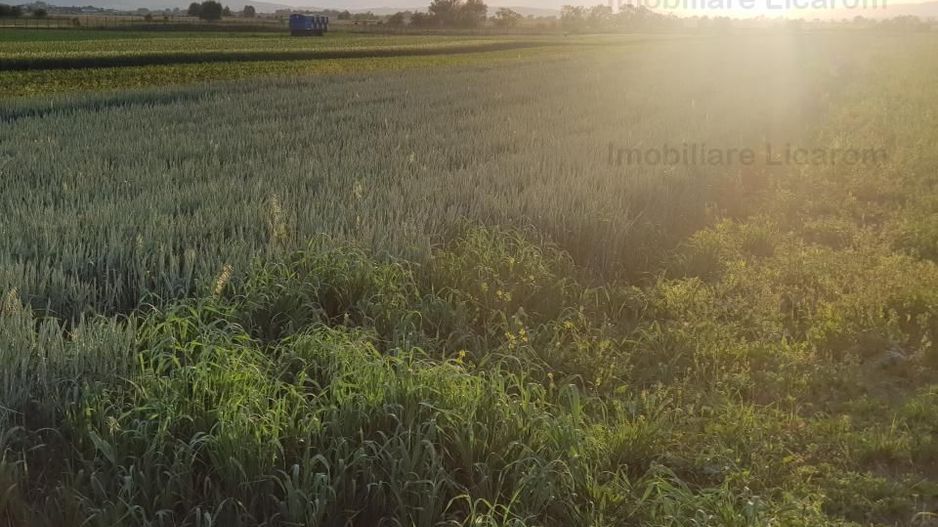 Teren Stupini Calea Feldioarei 4600 mp,22 euro/mp, front la asfalt - Poză 3