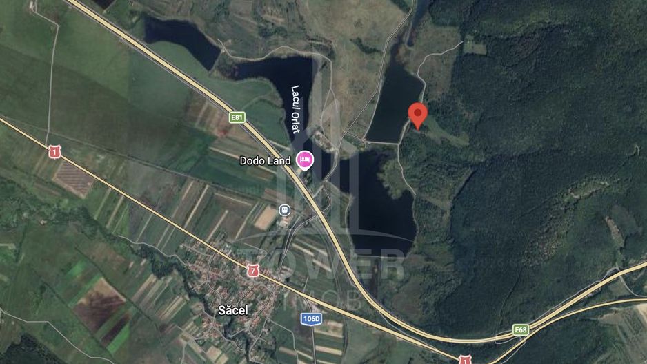Teren EXTRAVILAN de vânzare în Săcel - Poză 4