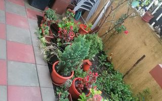 Apart 2 cam Ideal Residence, CUG - 89.100 euro- NEGOCIABIL - Poză 9