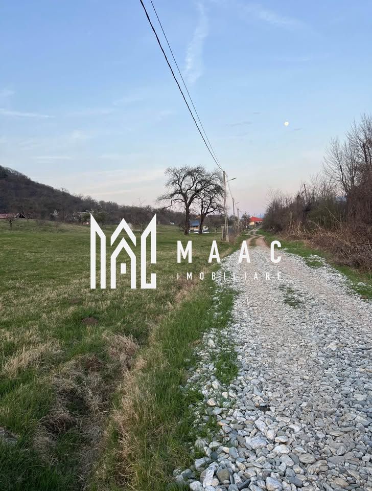 Teren extravilan de vânzare | Tălmaciu | 6.000 mp - Poză 4