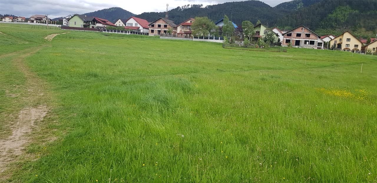 In evantaiul padurii, 750mp teren - Poză 6