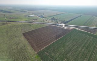 Acces Rapid la Centura Vladimirescu – Teren 2.500 - Poză 4