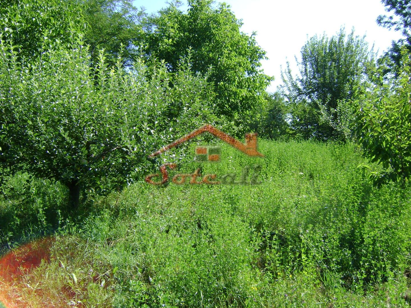 Teren de vânzare în Breaza– zonă liniștită, ideal pentru relaxare - Poză 15