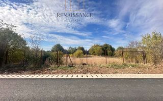 Giarmata Teren 1889mp Front 27.5m Pretabil Duplex/Triplex - Asfalt - Poză 1