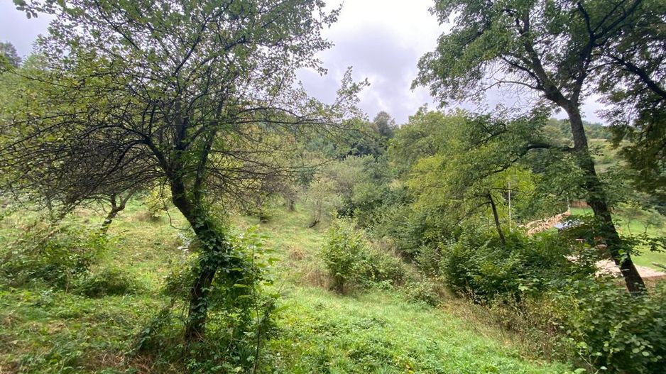 OPORTUNITATE TEREN DEZVOLTARE REȘEDINȚĂ IMOBILIARA DE LUX - Poză 6