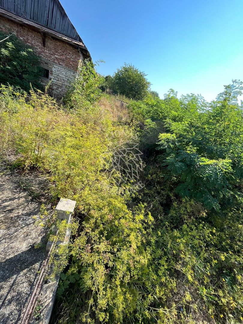 Teren intravilan 1800 mp cu constructie casa-Chinteni - Poză 7