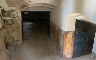 Conac nobiliar de secol XIX cu 8 camere în Maciova - Poză 34