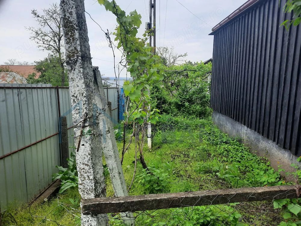 Teren intravilan 2.651 mp în Focuri, Iași – casă veche (1968) inclusă - Poză 4