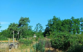 Teren intravilan 1067 mp cu casă și anexe – Grozești - Poză 5