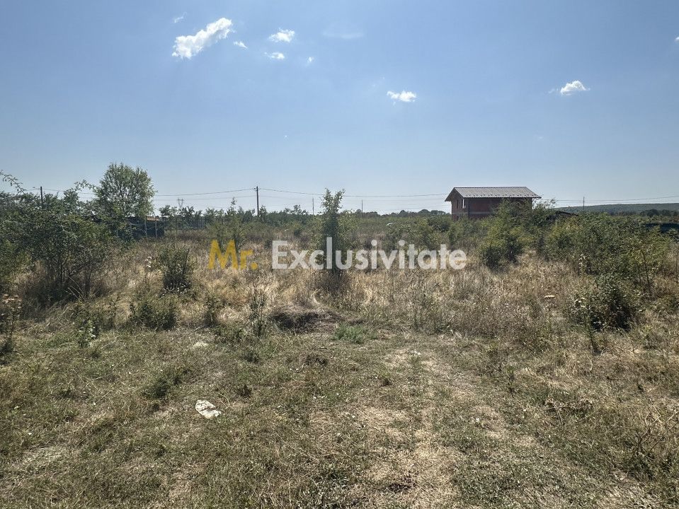 Teren Intravilan Magic Trivale - Aleea Bradului  1040 mp - Poză 1