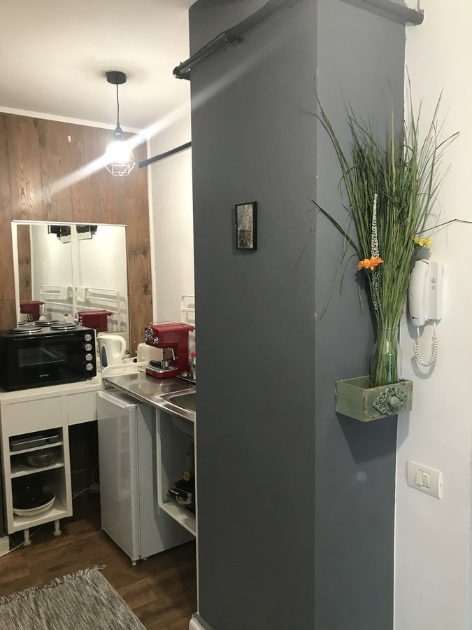 Splaiul Unirii, Mihai Bravu, parter in vila - Poză 8