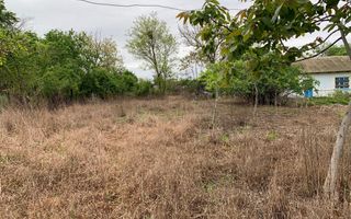 Teren intravilan 2562mp Loc 23 August | Ideal locuiță sau casă vacanță - Poză 9