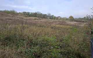 Teren intravilan de vânzare în Gârleni de Sus, Bacău – 6.000 mp - Poză 4