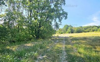 Vanzare teren intravilan, in Pacureti - Poză 6