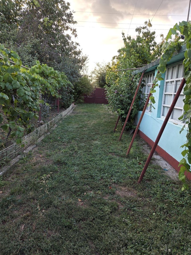 Casă și teren 2177 mp Ortisoara -28ml front-comision 0 - Poză 13