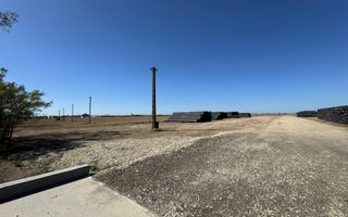 Teren extravilan de vânzare – Căteasca, Argeș | 27.201 mp | Deschidere 58,55 m - Poză 3