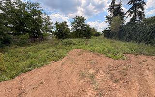 Teren intravilan 550mp de vanzare in Paleu - Poză 4
