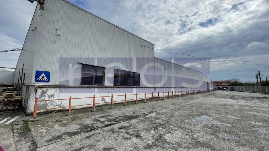 INCHIRIERE HALA | DEPOZIT - OTOPENI CENTURA  | 7.233 MP - Poză 20