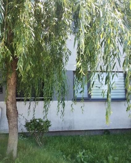 Garsoniera mobilata - Poză 11