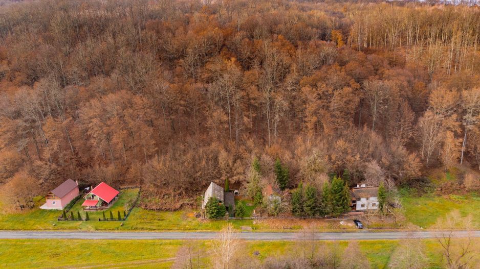 Casă de vacanța în Rădești jud.Arad - Poză 5