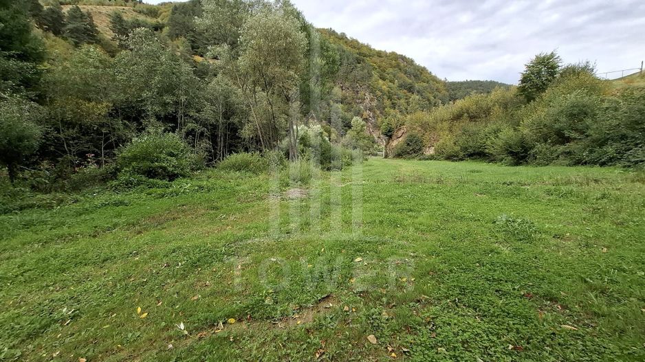 Teren Intravilan de Vânzare – 3622 mp – Râu Sadului - Poză 8