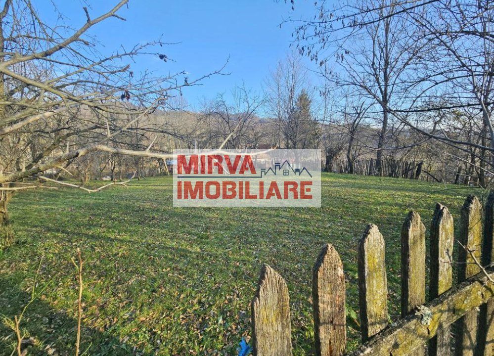 Vanzare casa plus anexa, teren 3843 mp, in Sat Pietriceaua - Poză 13