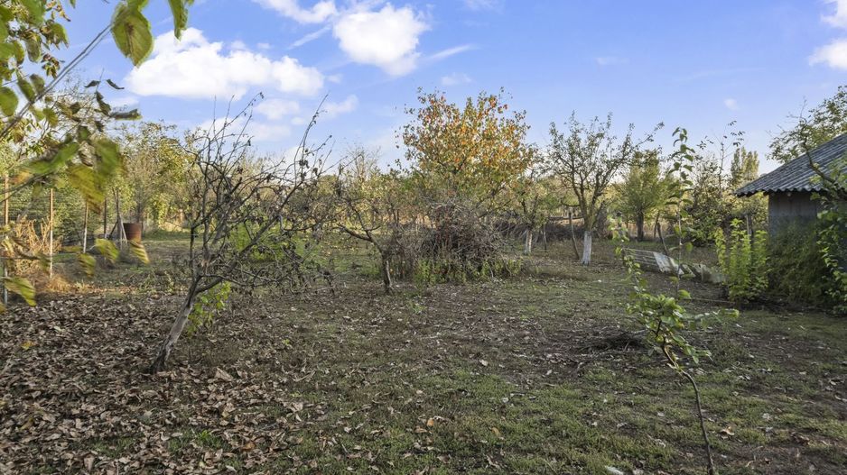 Comision 0% 2 case Vila + Spatiu Comercial + Curte Proprie - Poză 34