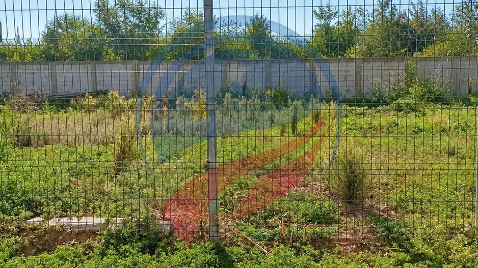 TEREN INTRAVILAN 610 mp - CORNITOIU - Poză 2