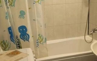 Garsoniera Dr Taberei-Tudor Vladimirescu T460 - Poză 4