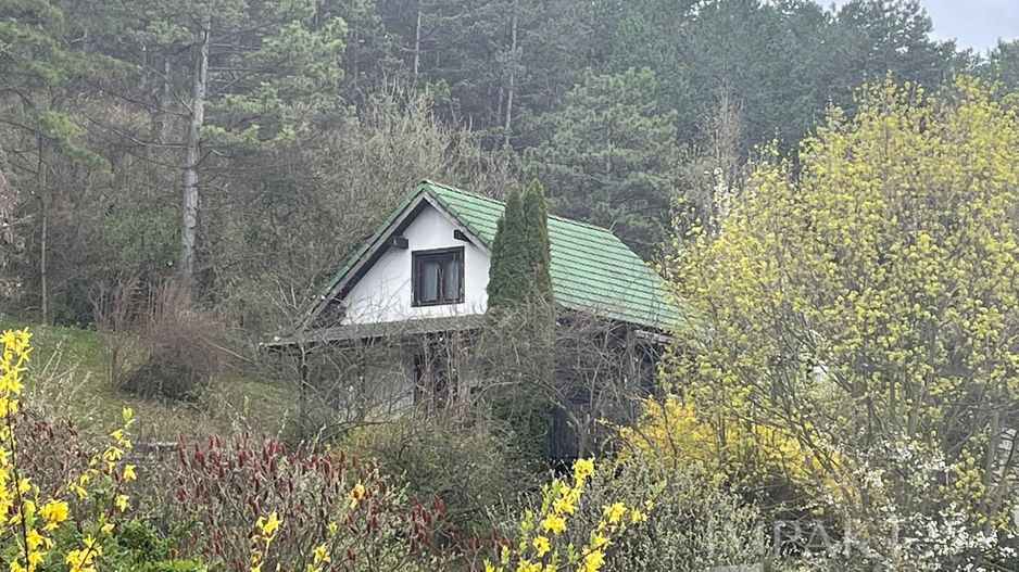 Cabana din lemn cu panorama superba asupra Florestiului - Poză 2