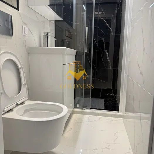 2 camere decomandate, Plopilor, USAMV, Platinia, Prima inchiriere - Poză 8