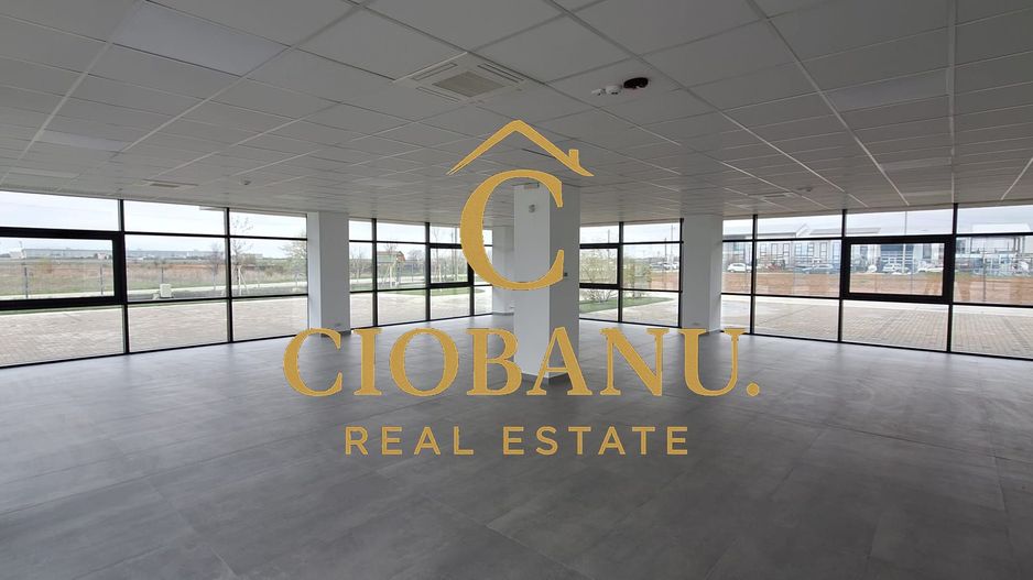 Hale industriale+Cladire de Birouri de inchiriat zona Aeroport - Poză 4