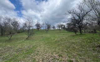 TEREN INTRAVILAN 4365 MP POENARII DE MUȘCEL  JUDEȚUL ARGES - Poză 1