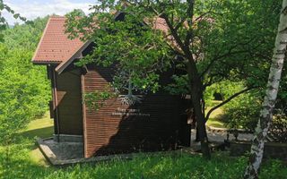 Casa de vacanta deosebita Breaza- Nistoresti - Poză 27