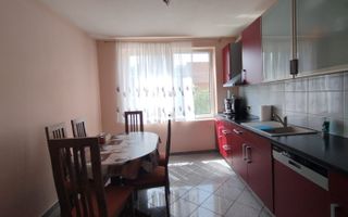 Casa 6 camere 205 mp-teren 14 ari-garaj, anexa, baci-Unirea - Poză 3