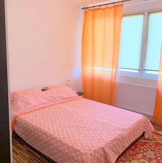 Apartament cu 2 camere de închiriat – Zona Centrală, Str. Domnească - Poză 2