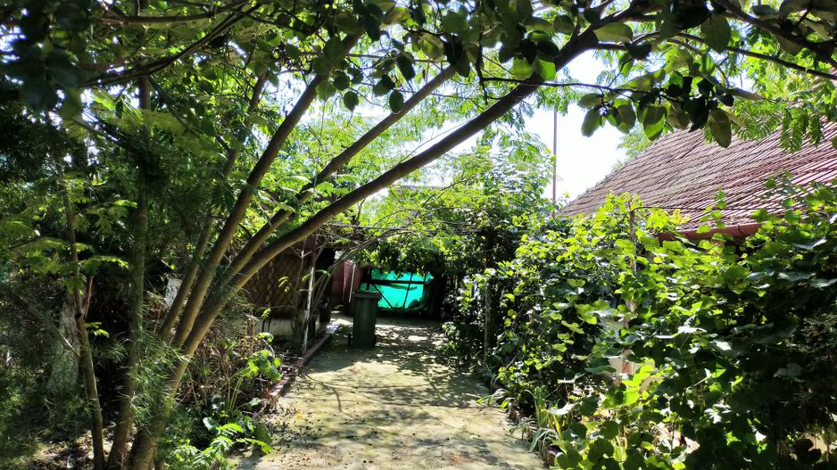 CASA 3 CAMERE IN CARANI - Poză 8