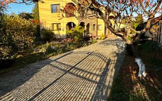 Vanzare casa ideal 2 familii padurea Romanesti - Poză 16